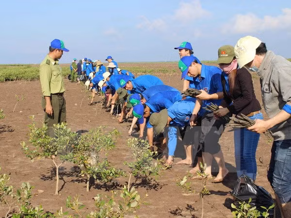 Foreign NGO aid poured into Ben Tre ảnh 1