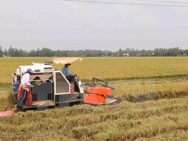 Venezuela ratifies agricultural cooperation deal with Vietnam ảnh 1
