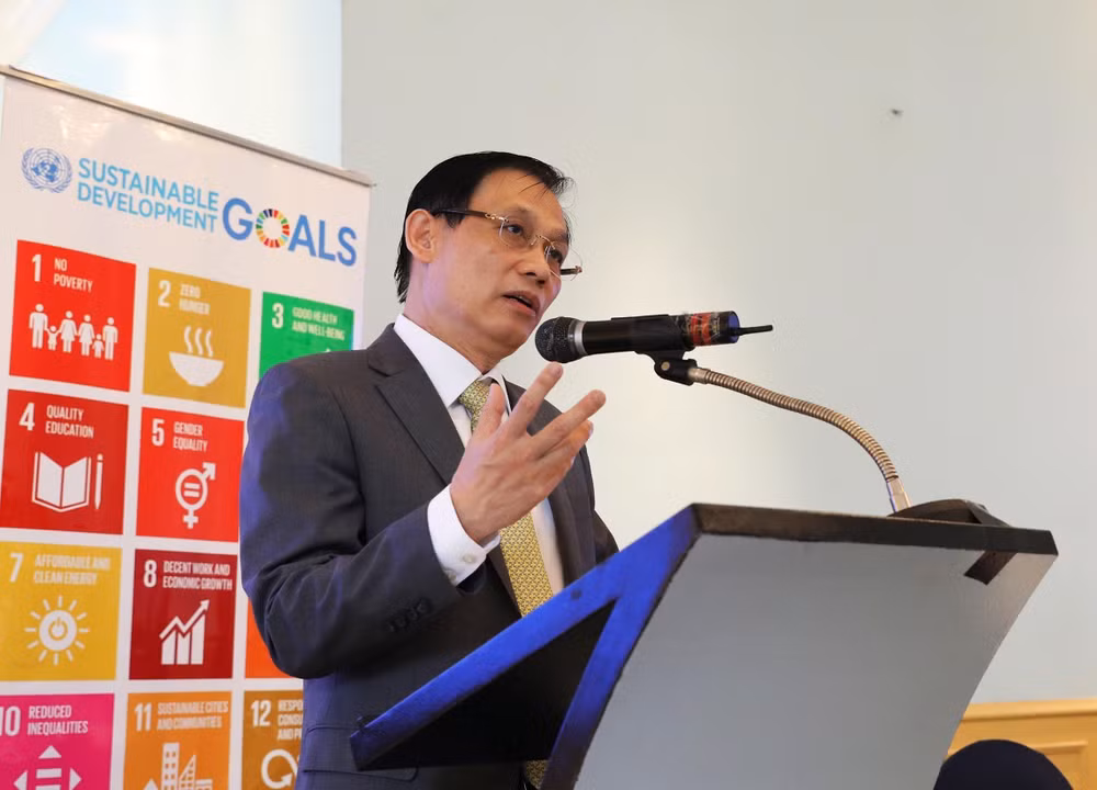 UN has crucial role in Vietnam: diplomat ảnh 1