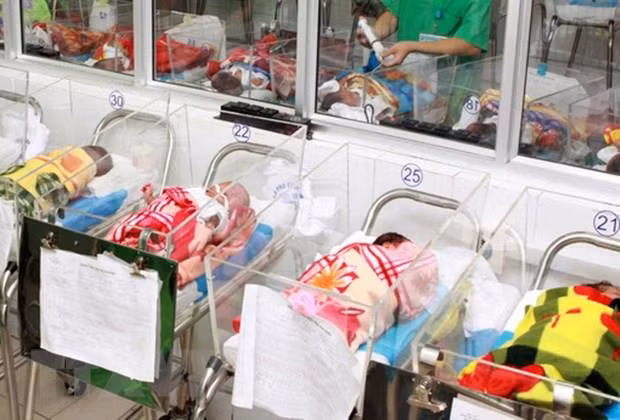 Gender equality helps reduce sex imbalance at birth: official ảnh 1