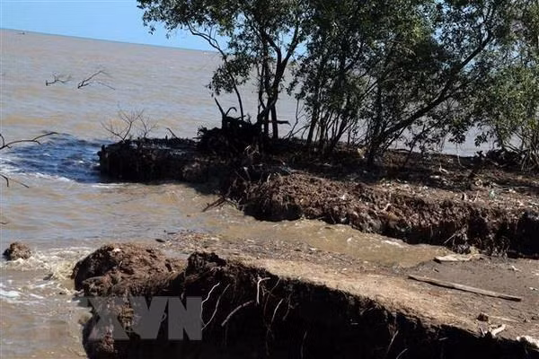 Kien Giang needs over 68.8 million USD to tackle coastal erosion ảnh 1