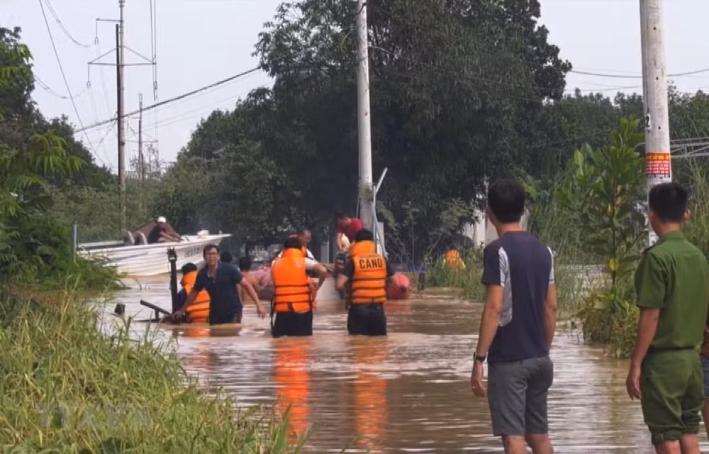 Vietnam, Japan share measures to cope with flash flood, landslides ảnh 1