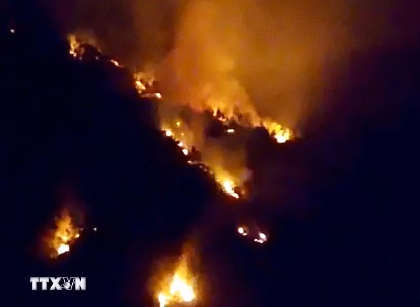 PM orders strengthening forest fire prevention, control ảnh 2