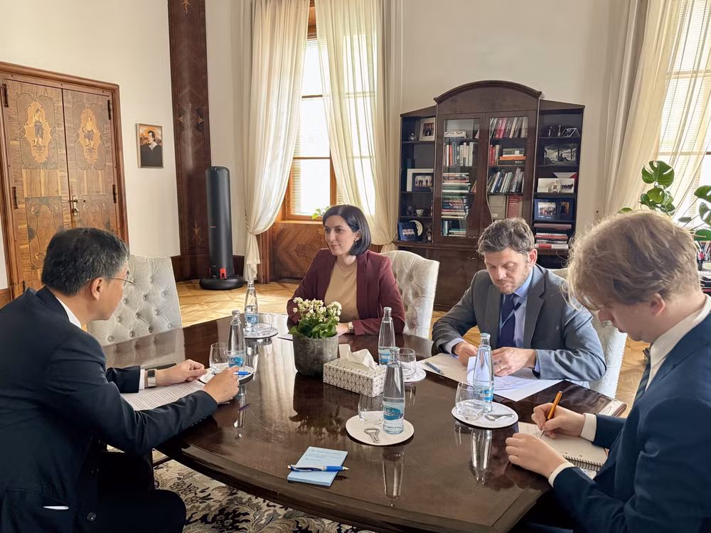 Vietnam, Czech Republic boast huge cooperation potential: Ambassador ảnh 2