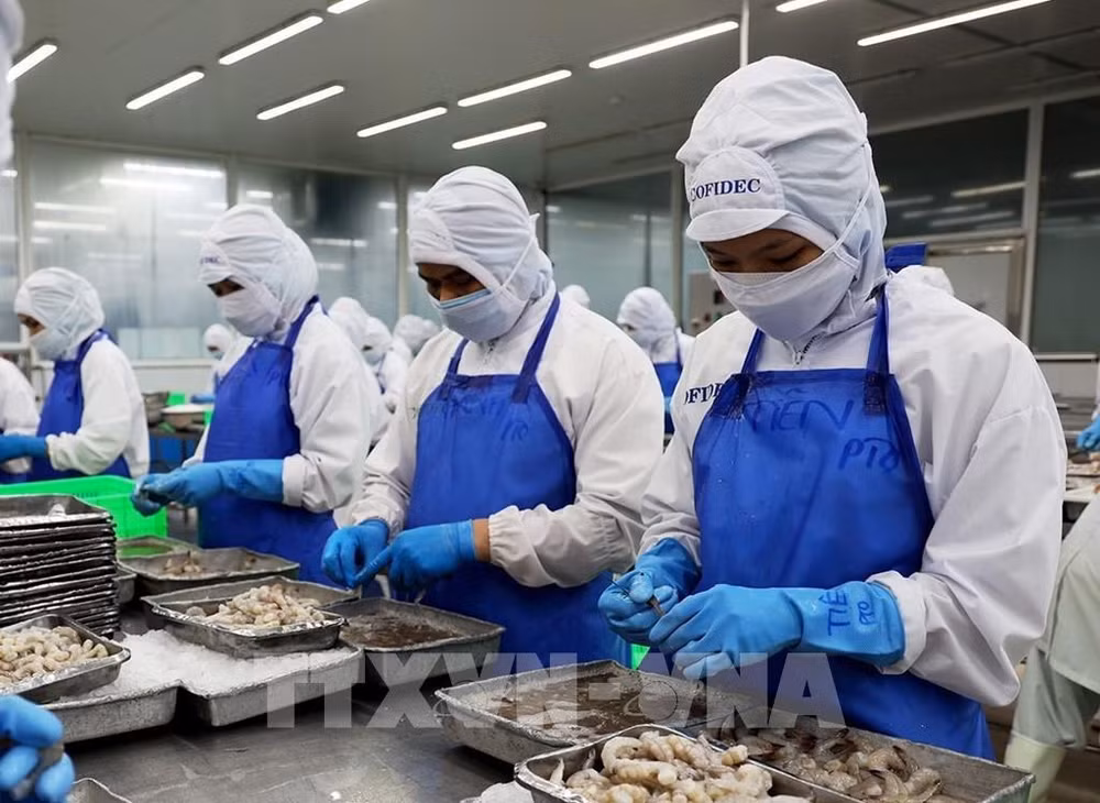Vietnam ranks fifth among aquatic product suppliers for Singapore ảnh 1
