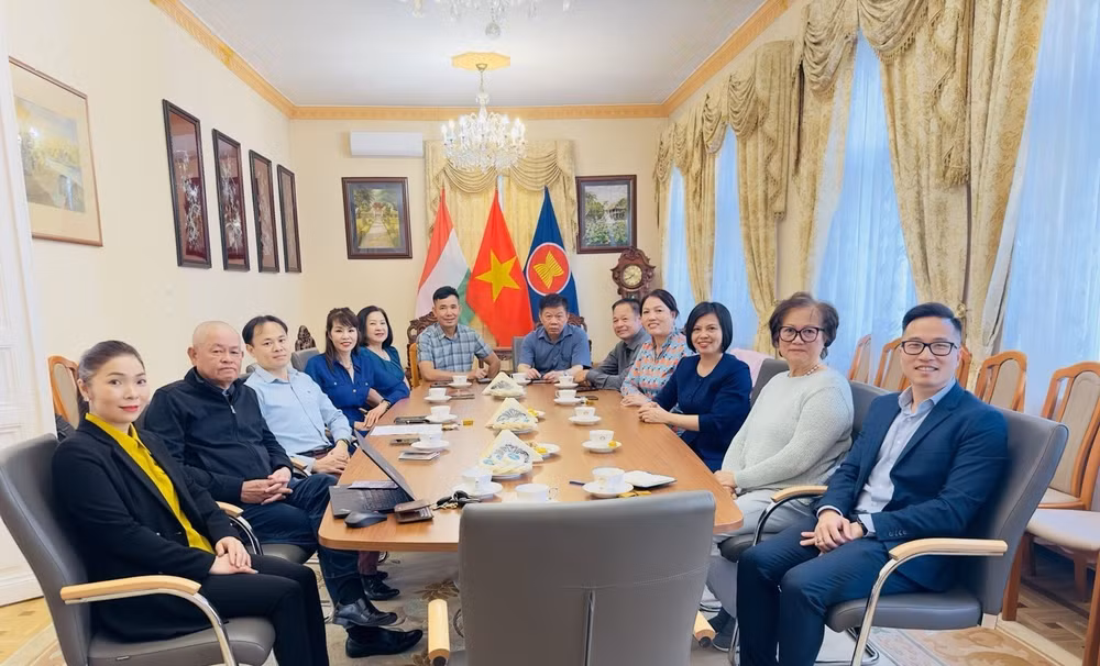 OVs in Hungary eager to join trip to Truong Sa ảnh 2