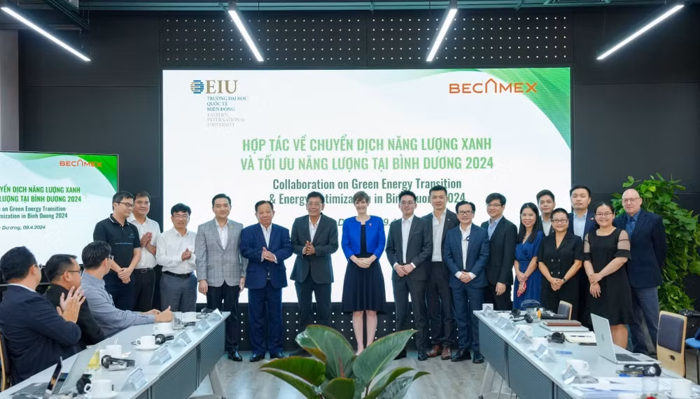 Binh Duong, UK cooperate in promoting green energy ảnh 1