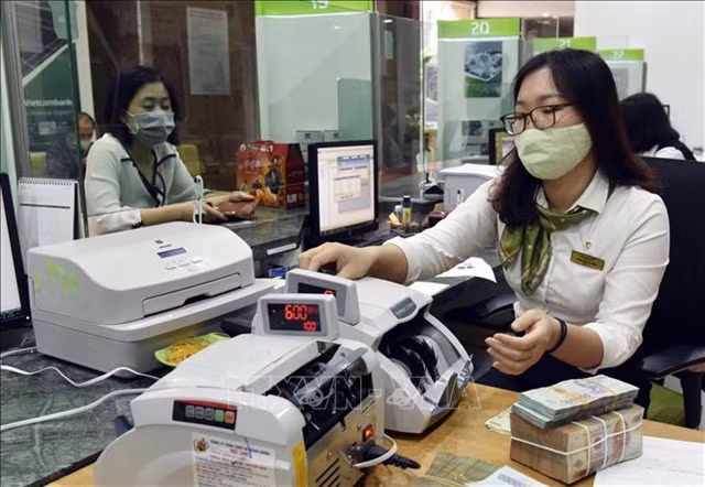 15 Vietnam banks listed in Brand Finance Banking 500 2024 ranking ảnh 1