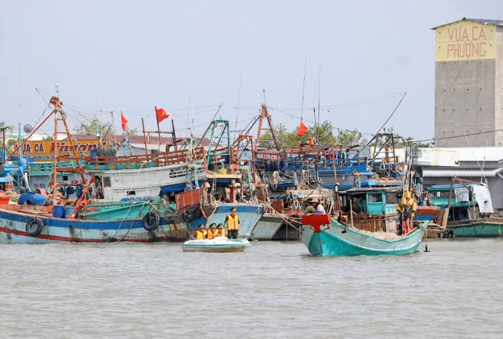 Government’s action programme cracks down on illegal fishing ảnh 2