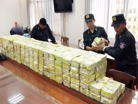 Public security ministry looks to strengthen effectiveness of international treaty implementation ảnh 2