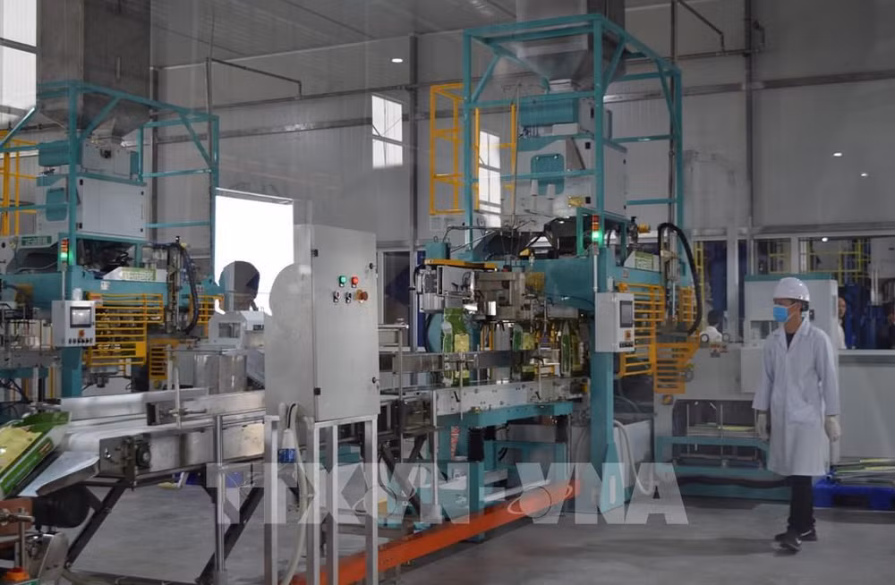 Businesses bullish on Q2 outlook: GSO ảnh 1