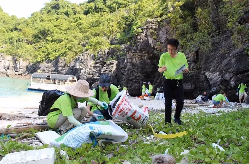 UNEP helps monitor plastic pollution in Vietnam ảnh 1