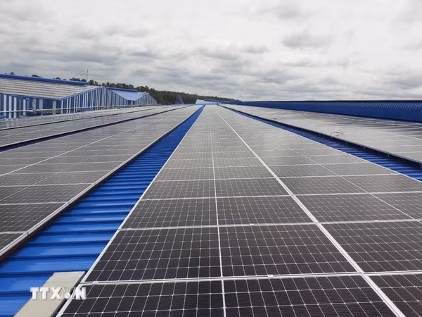 Energy industry needs nearly 5 trillion VND of investment in 2021-2030 ảnh 2 Energy industry needs nearly 5 trillion VND of investment in 2021-2030 ảnh 2