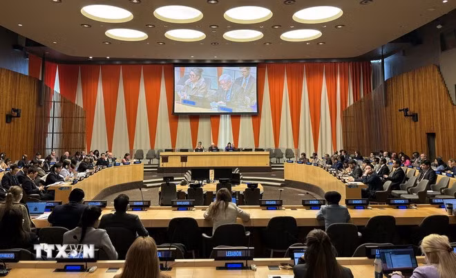 Vietnam maintains momentum on advancing gender equality: UN Women Representative ảnh 1
