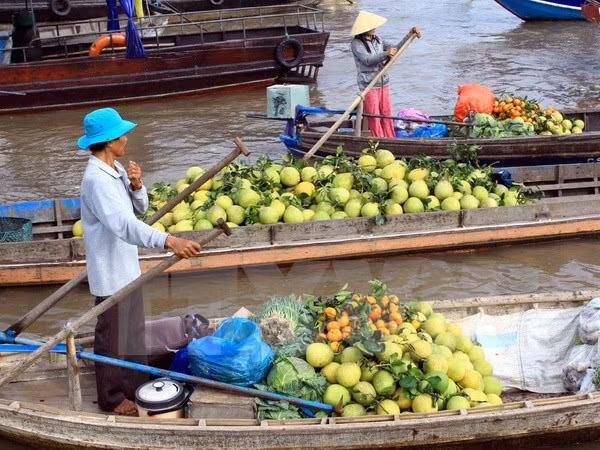 Cai Rang Floating Market Festival opens in Can Tho ảnh 1