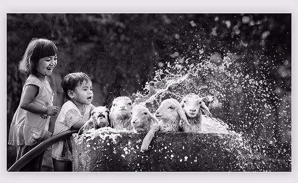 Balkan Exhibition honours Vietnamese photographers ảnh 1