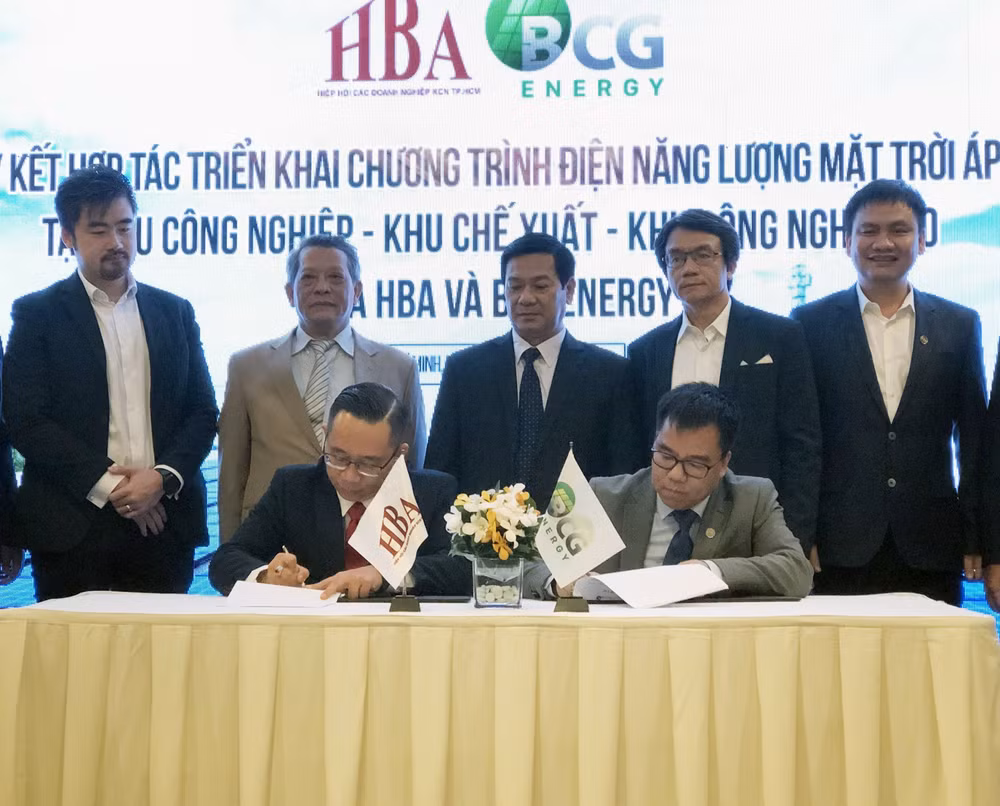 Over 1,000 firms in HCM City to develop rooftop solar power ảnh 1