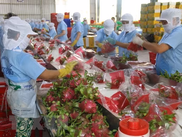 Agro-forestry-fishery sector runs trade surplus in two months ảnh 1