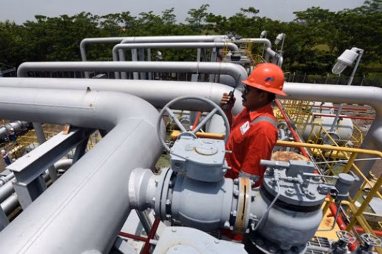 Indonesia starts work on 255km industrial gas pipeline ảnh 1