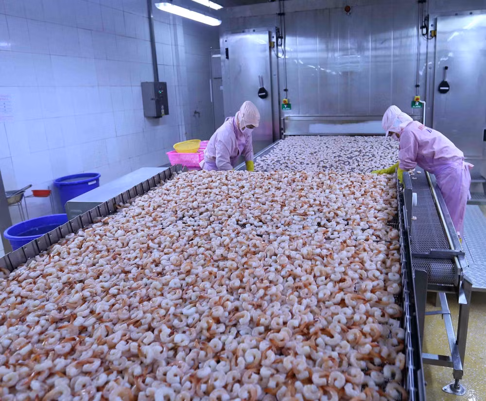Gov’t to issue lists of preferential tariffs under EVFTA ảnh 1