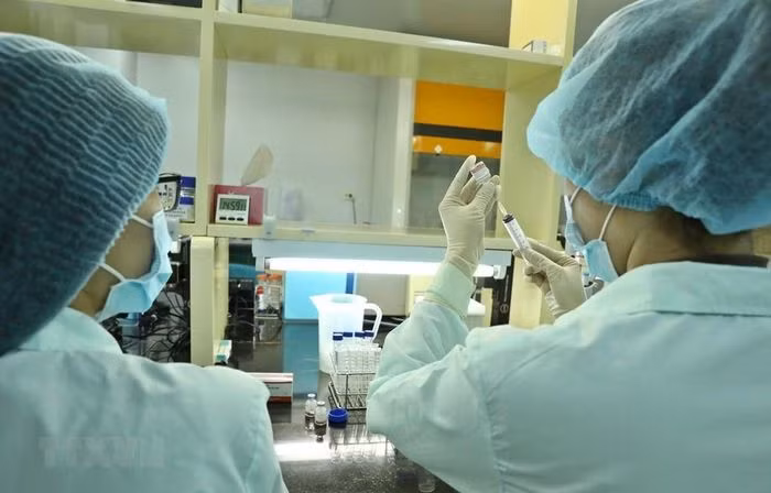 Vietnam striving to quickly produce home-made COVID-19 vaccines ảnh 1