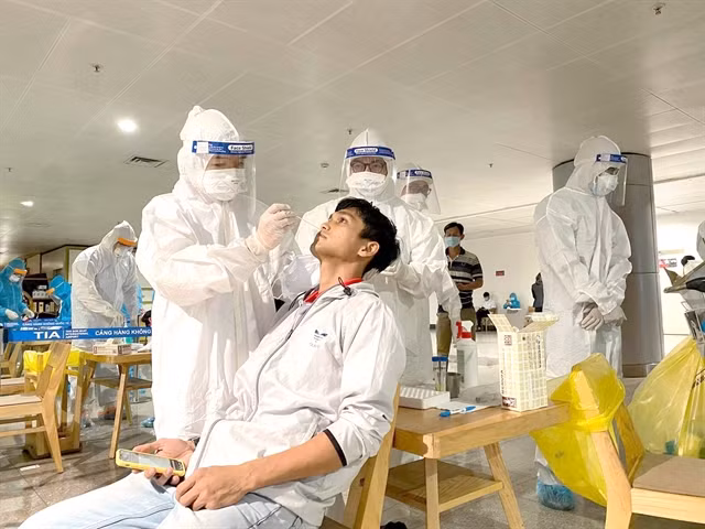Transport workers most impacted by COVID-19 pandemic: survey ảnh 1