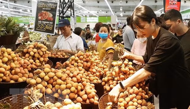 Activities planned for Hanoi stimulus programme ảnh 1