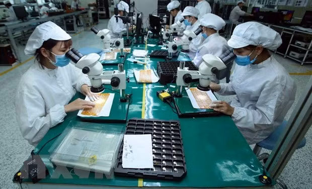 Vietnam, Turkey hold B2B matching webinar for supporting industries ảnh 1