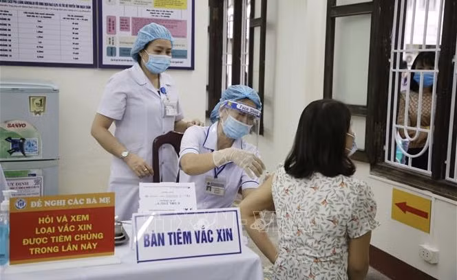 No new COVID-19 cases documented over last 12 hours ảnh 1