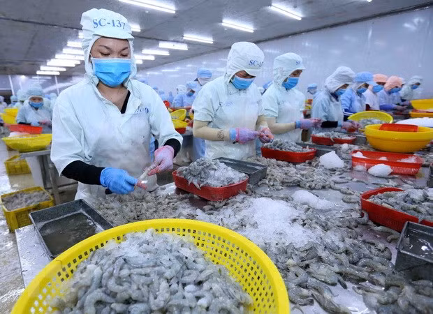 E-commerce platform a boost for Vietnam’s exports to EU ảnh 1