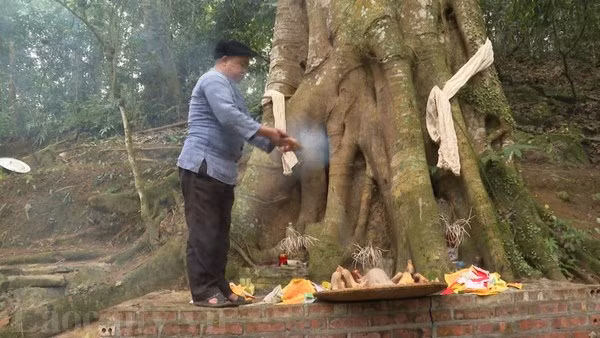 Unique forest god worship of Mong people in Si Ma Cai ảnh 1 Unique forest god worship of Mong people in Si Ma Cai ảnh 1