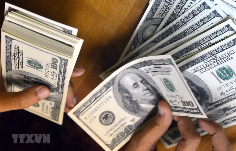 Remittances to Vietnam estimated at 16.7 billion USD ảnh 1