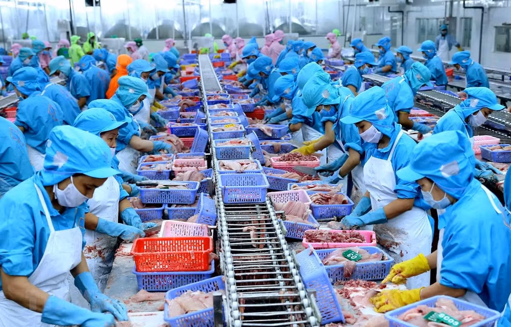 Solutions sought to protect aquatic resources ảnh 1