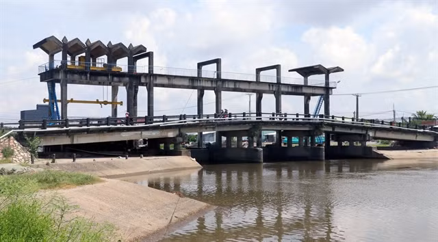 Mekong Delta provinces take steps to control saltwater intrusion ảnh 1