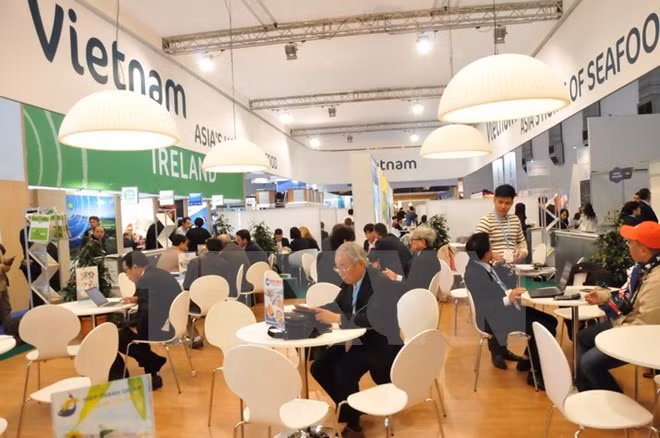 Vietnam increases seafood exports to EU ảnh 1