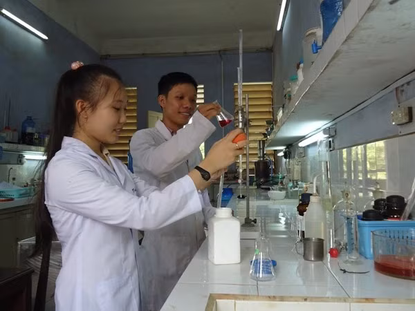 Scholarships, bicycles to students living in need ảnh 1