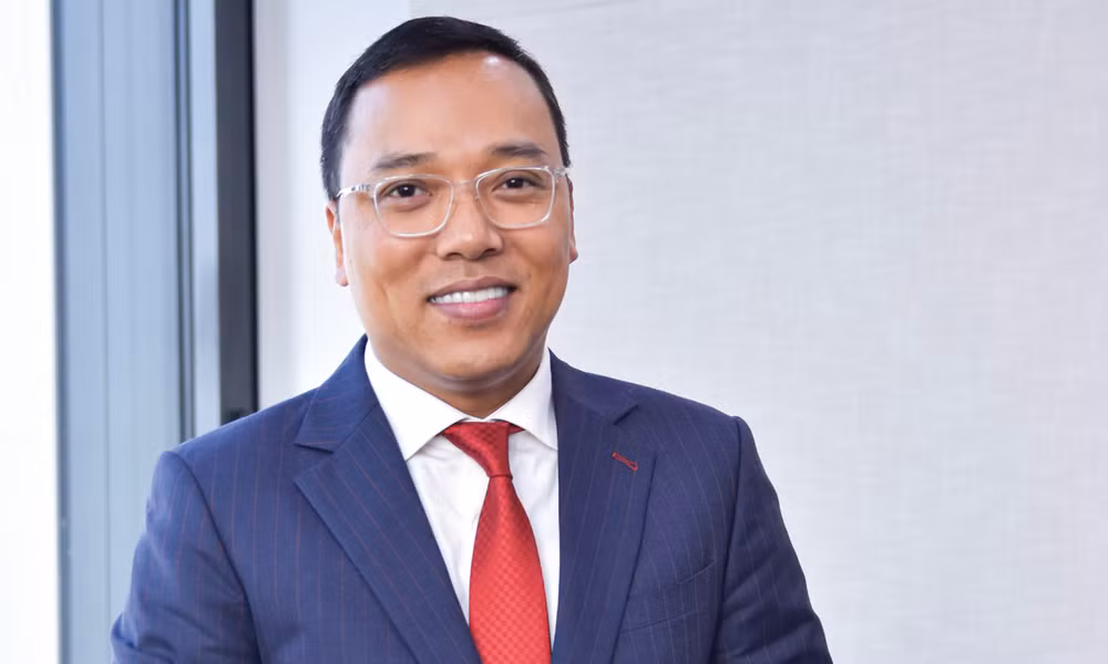 Vietnam plays active role in climate change response: ambassador ảnh 2