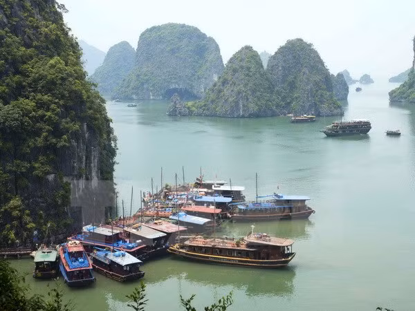 Quang Ninh’s tourism surges in first seven months of 2015 ảnh 1 Quang Ninh’s tourism surges in first seven months of 2015 ảnh 1