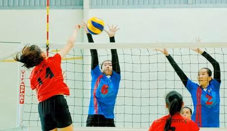 Int’l Volleyball Championship – Vinh Long TV Cup closes ảnh 1