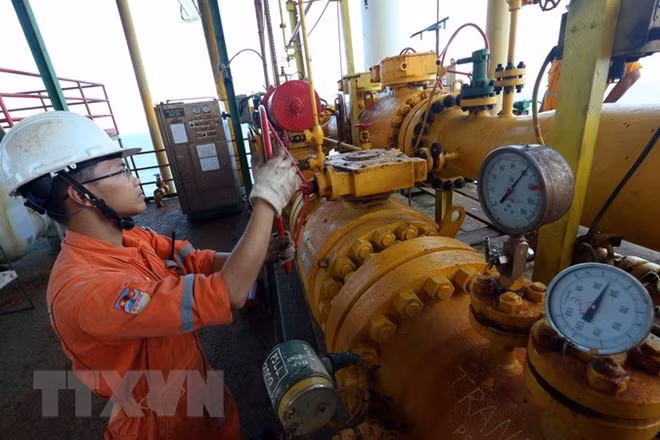 PetroVietnam enjoys thriving business thanks to crude oil price hike ảnh 1 PetroVietnam enjoys thriving business thanks to crude oil price hike ảnh 1