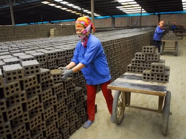 Lower corporate income tax on SMEs proposed ảnh 1