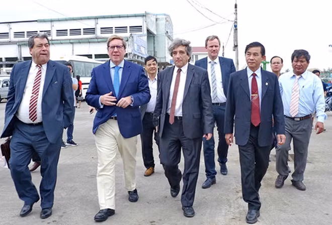 EP delegation works with Binh Dinh on fight against IUU fishing ảnh 1