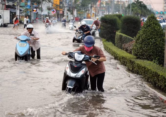 Mekong Delta fights flooding from high tides ảnh 1 Mekong Delta fights flooding from high tides ảnh 1