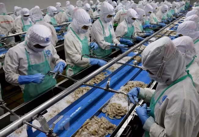 Nine-month seafood exports estimated at 6.4 billion USD ảnh 1