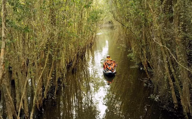 Water resources planning in Mekong Delta should be prioritised: official ảnh 1 Water resources planning in Mekong Delta should be prioritised: official ảnh 1