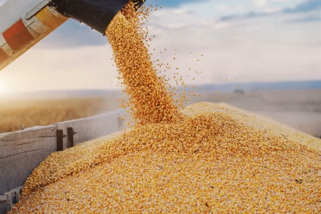 Ministry looks to address hurdles in agri-exports to Russia, Ukraine ảnh 1