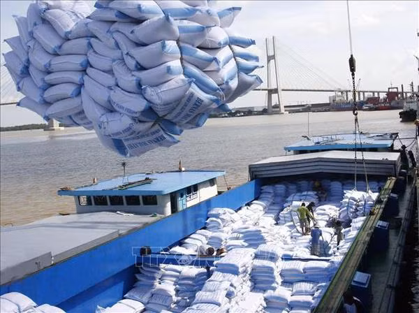 Vietnamese rice, spices, fruit gain firm foothold in int'l markets ảnh 2