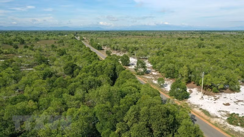 ADB supports sustainable forestry development in Southeast Asia ảnh 2