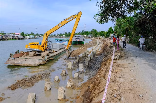 Erosion worsening along Mekong Delta rivers, coast ảnh 1
