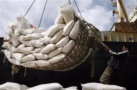 Ministry clarifies tariff quotas for rice, dried tobacco leaves imported from Cambodia ảnh 1